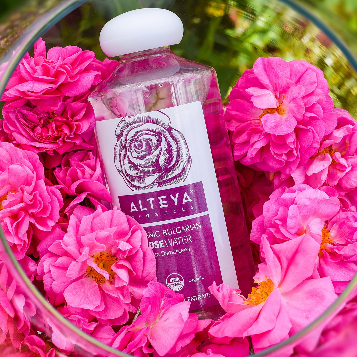 Alteya Organics Rose Water Toner 17 Fl Oz/500mL | USDA Certified Organic Bulgarian Rosa Damascena Hydrosol | Natural Hydrating Facial Toner for All Skin Types | Refreshing, Balancing & Moisturizing