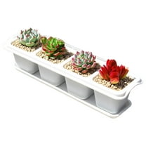 chaungfeng Succulent Pots, Mini Flower Plant Containers for Succulent Cactus Flower, Indoor Outdoor Succulent Plant Pots with Tray, for Home Garden Kitchen Decor