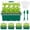 Green, variant on ASDIIT 5pcs 60 Cells Seed Starter Tray with Grow Light Indoor Seeds Starter Kit with Lid Plastic Planting Trays Mini Greenhouse Garden