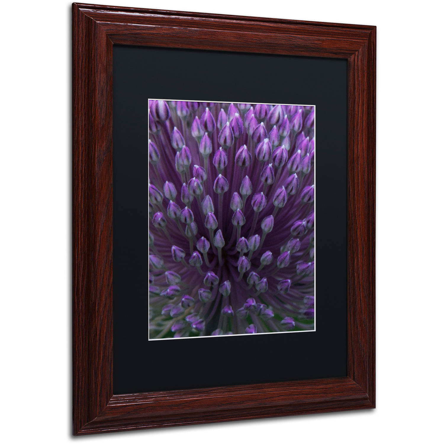 Trademark Fine Art "Alien Flower Pods" Canvas Art by Kurt Shaffer, Black Matte, Wood Frame