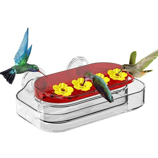 4 puertos de alimentación, foso perfecto para hormigas para observar colibríes fuera de la ventana. Ventana de comedero de colibrí, capacidad de 16 oz, 2 ventosas de tornillo, (dos piezas) XianweiShao 8390615101271
