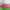 Grass Green, variant on Trump 2024 Take America Back Daddy's Home Trump Pink 2024 T-Shirt