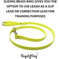 thumbnail image 6 of Regal Dog Products Waterproof Collar & Leash Set - Heavy Duty Center Ring Collar & 5' Leash, 6 of 8