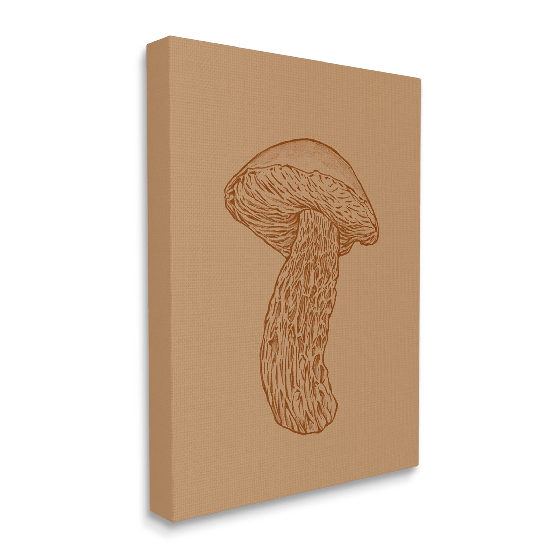 Stupell Industries Intricate Mushroom Nature Study Graphic Art Gallery Wrapped Canvas Print Wall Art, Design by Ziwei Li