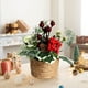 thumbnail image 5 of Adornos Navideños Artificiales de Bayas para Árbol | Decoración Navideña de Plástico Verde | Ambiente Festivo para Sala de Estar, Escritorio y Dormitorio | 19 X 16 X 16 Cm, 5 of 6
