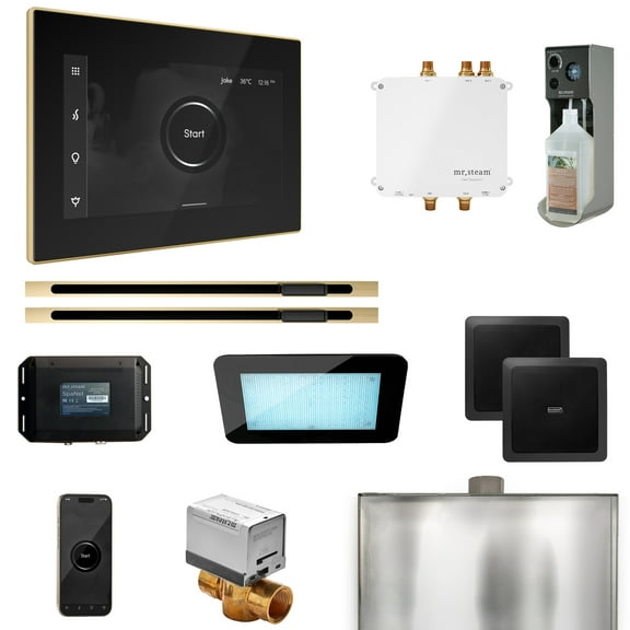 Mr Steam Bliss Max Steam Shower Pkg w/iSteamX Control and Linear Steamhead in Black Polished Brass