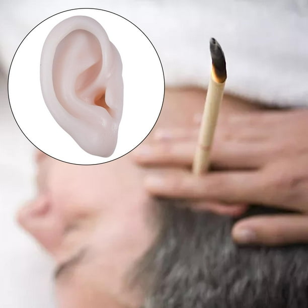 Modelo de oreja de tamaño natural, accesorios de material didáctico de silicona , pantalla Flexible 1:1, modelo de práctica de acupuntura para - DERECHO Derecha Salvador Modelos de orejas de silicona