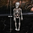 Contemporary Decor Halloween Skeleton Life Size Full Body Posable