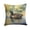 American Black Duck 3178, variant on Elf Owl Throw Pillow 14 in x 14 in