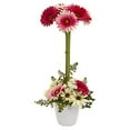 thumbnail image 2 of Nearly Natural Gerber Daisy Artificial Arrangement in Ceramic Vase, 2 of 2