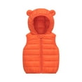 thumbnail image 3 of Kids Hooded Puffer Vest Lightweight Sleeveless Outerwear Zipper Closure Warm Gilet for Boys and Girls Winter Fall Spring, 3 of 3