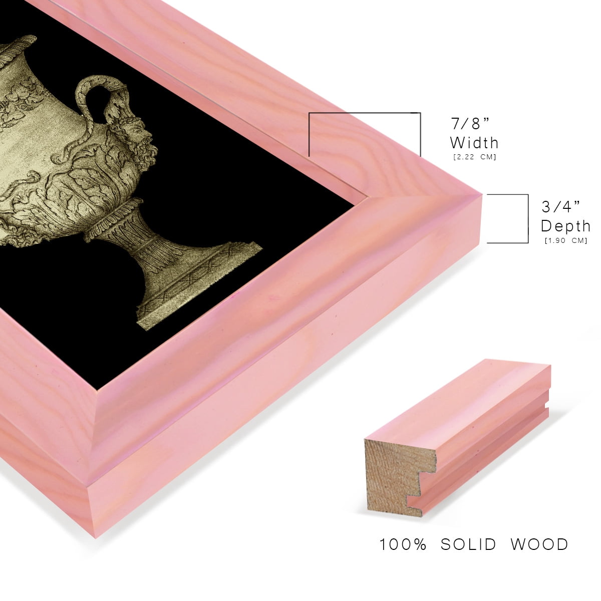 Garden Antiquities IV -Framed Print w/glass-Sunset Pink