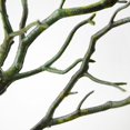 thumbnail image 3 of Small Dried Tree Artificial Branch Plant DIY Craft Wedding Party Home Decor-Green, 3 of 4