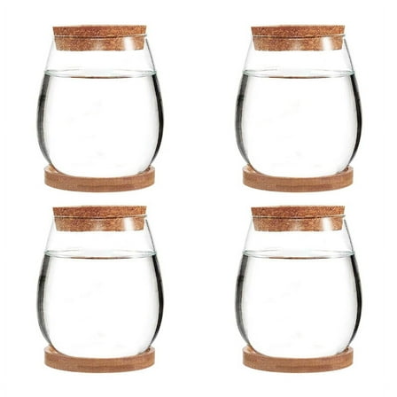Mini Transparent Terrarium Glass Soilless Green Plant Vase Garden Living Room Home Tabletop Decoration