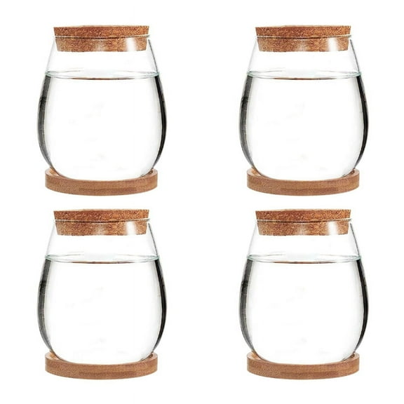 Mini Transparent Terrarium Glass Soilless Green Plant Vase Garden Living Room Home Tabletop Decoration