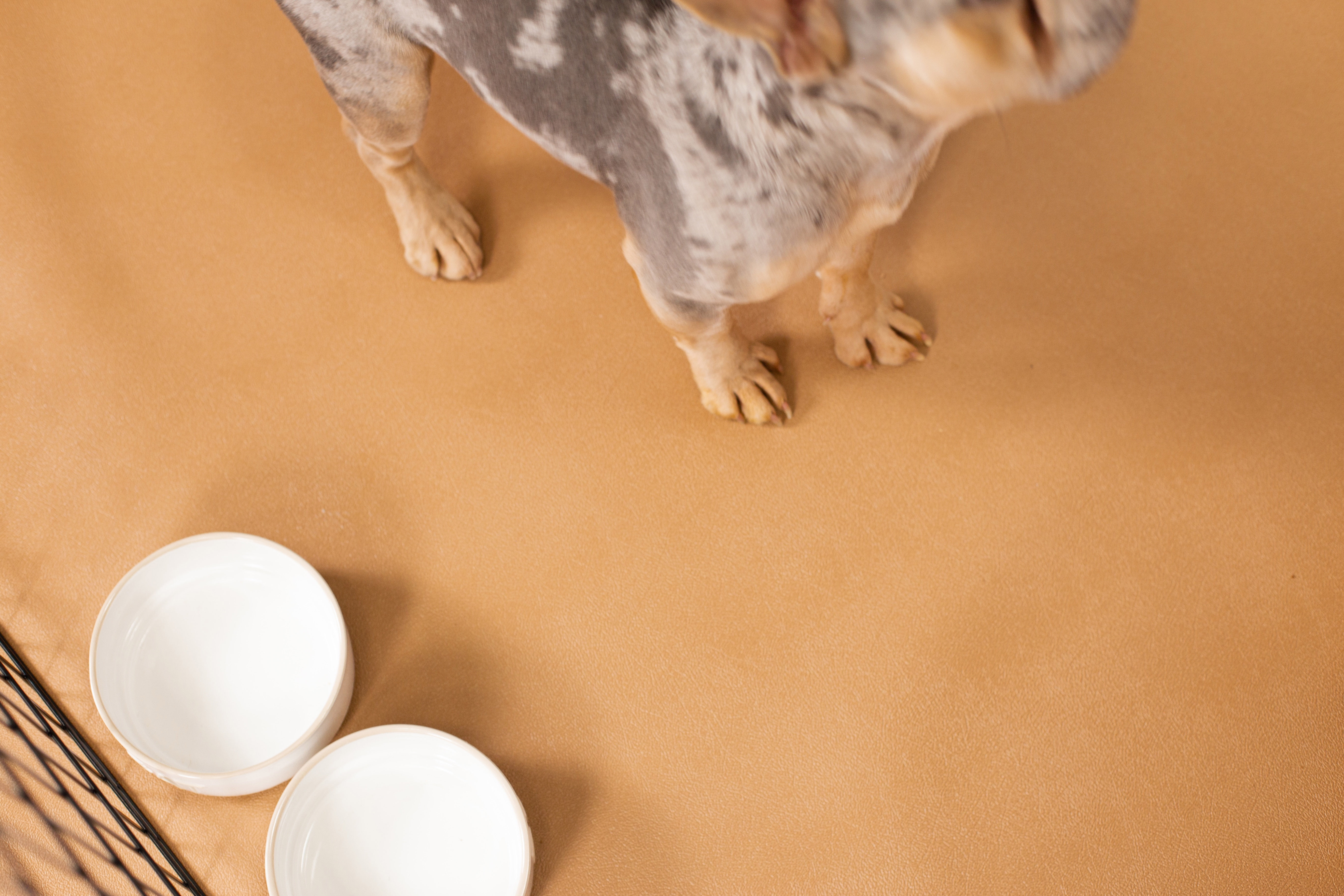 G-Floor 5' x 10' Vinyl Levant Pet Friendly Carpet Protector for Dogs & Cats - Sandstone