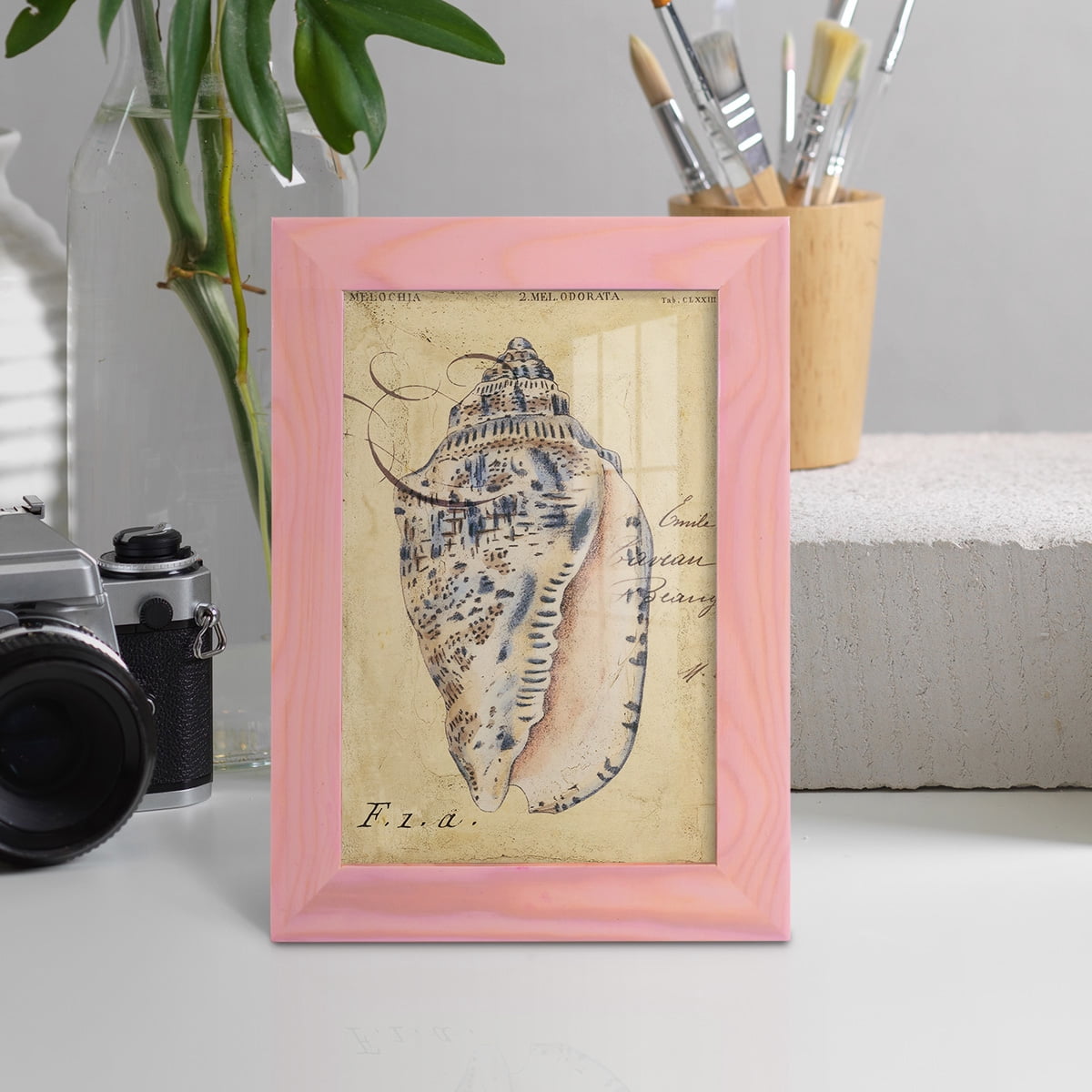 Seashell Ephemera I - Framed Print w/glass - Sunset Pink