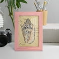 thumbnail image 5 of Seashell Ephemera I - Framed Print w/glass - Sunset Pink, 5 of 8