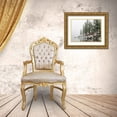 thumbnail image 3 of Wild, Jamie and Judy 32x25 Gold Ornate Wood Framed with Double Matting Museum Art Print Titled - Washington State-Central Cascades Mason Lake, 3 of 4