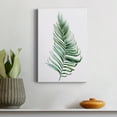 thumbnail image 4 of Sage Frond II Premium Gallery Wrapped Canvas - Ready to Hang - 12 x 18, 4 of 9