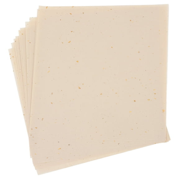 10 Sheets White Craft Paper for DIY Lanterns Flower Lanterns Making Paper Puer Tea Cake Wrapping Paper Arts and Crafts Projects DIY Paper