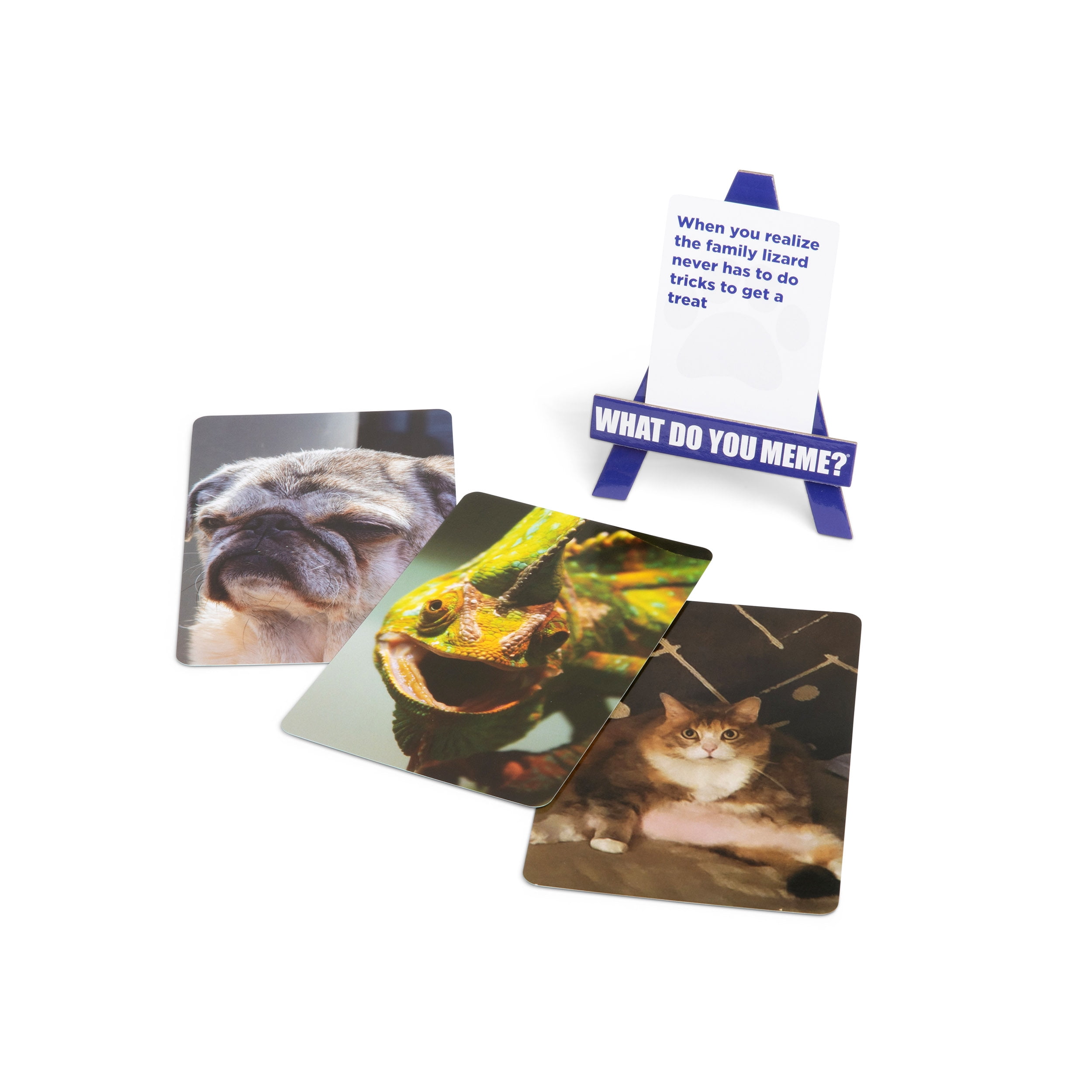 What Do You Meme? Family Pets Only Edition - Kids and Family Party Game with 366 Cards, Ages 8+