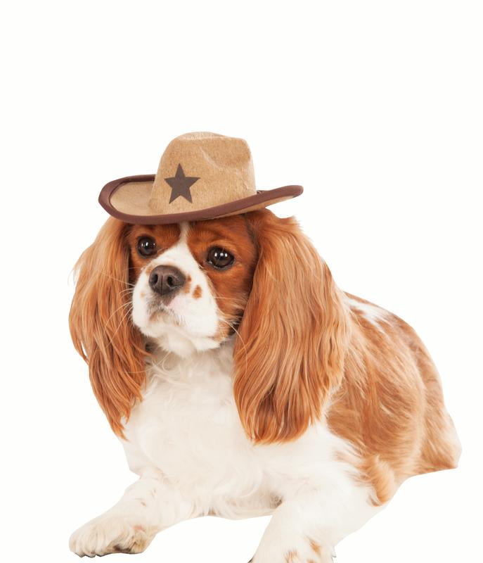 hamster cowboy hat