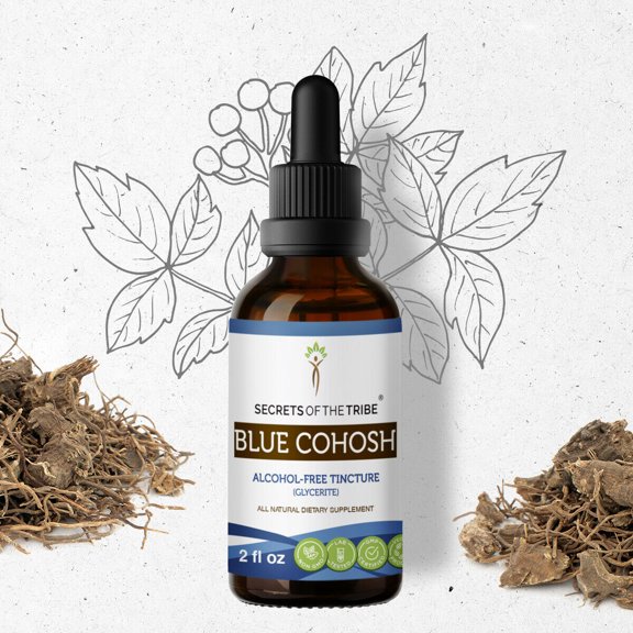 Blue Cohosh Tincture Alcohol-FREE Extract, Responsibly farmed organic Blue Cohosh (Caulophyllum Thalictroides) Dried Root 2 oz