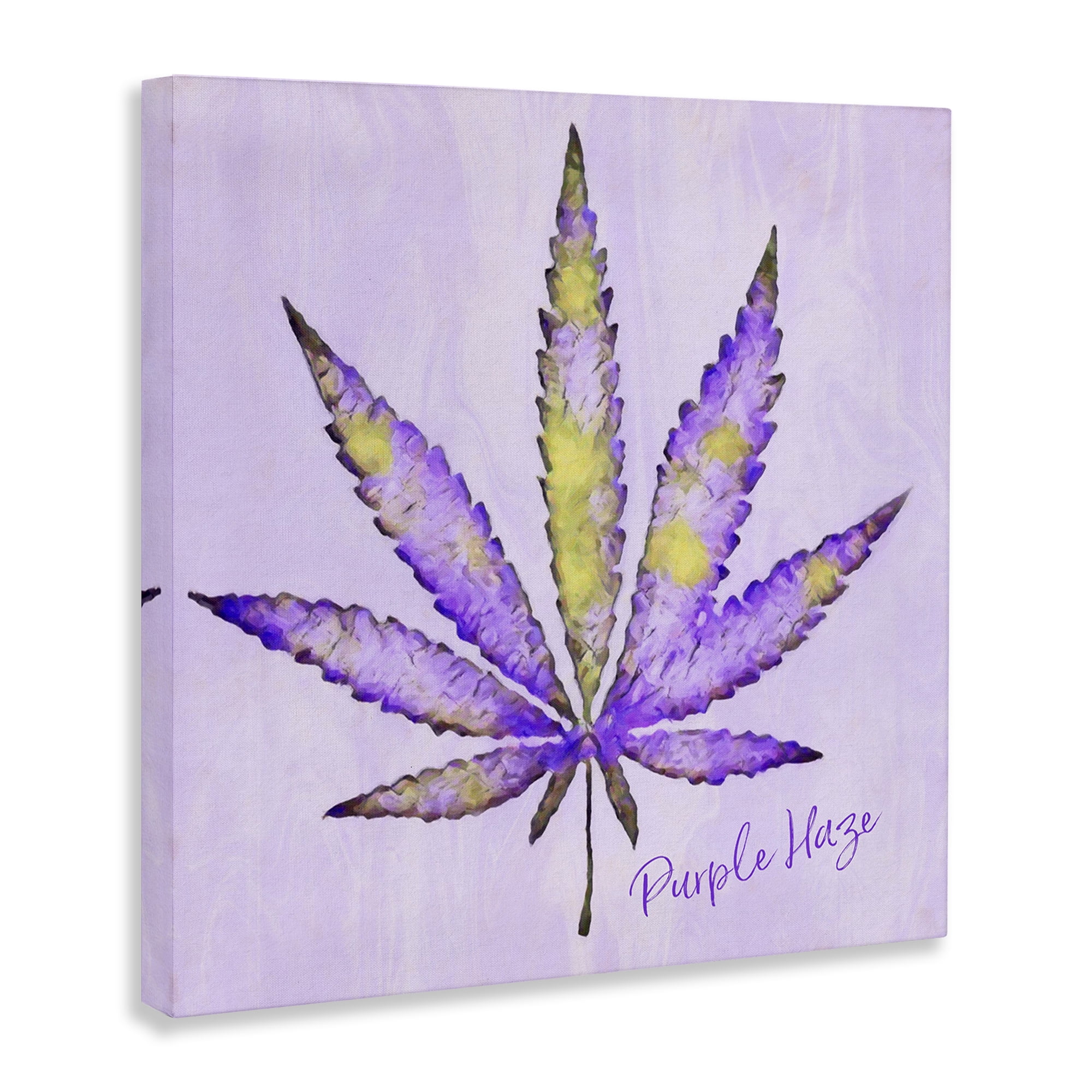 Stupell Industries Purple Haze Plant Leaf Plants & Flowers Painting Wrapped Canvas Art Print Wall Art, 17 x 17