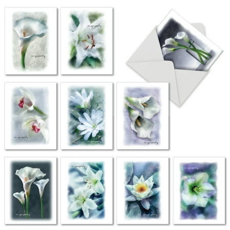 M6598SRB BLOOMING MEMORIES' 10 Assorted Sorry Note Cards Featuing Simple and Serene White Flower Blooms Expressing Sympathy, with Envelopes by The Best Card