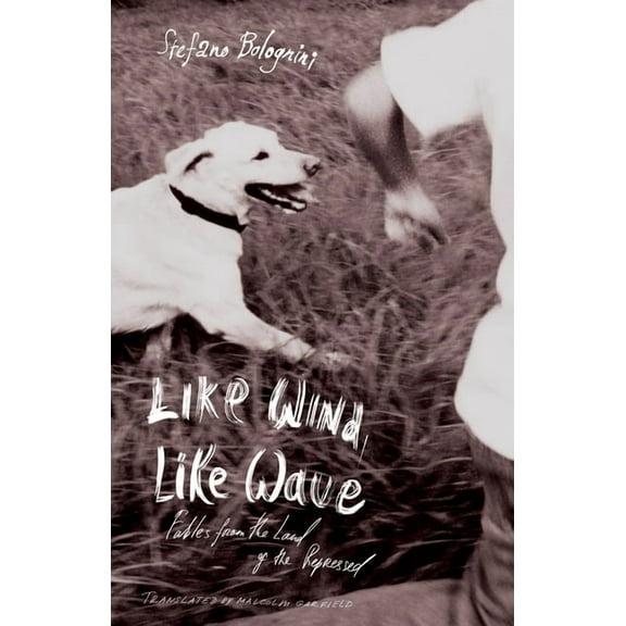 Like Wind, Like Wave (Paperback)