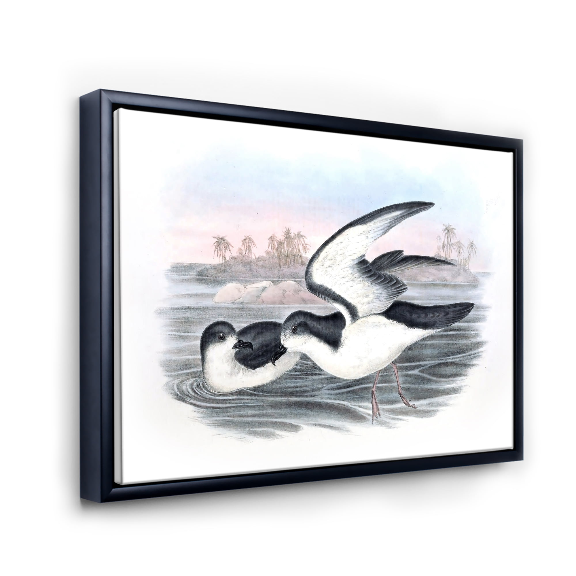 Designart 'Ancient Australian Birds X' Traditional Framed Canvas Wall Art Print