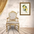 thumbnail image 3 of Warren, Annie 12x14 Gold Ornate Wood Framed with Double Matting Museum Art Print Titled - Lemon Branch II, 3 of 4