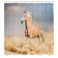 thumbnail image 3 of Ambesonne Horse Shower Curtain, Palomino Sand Desert, 69"Wx84"L, Purple Grey Peach, 3 of 5