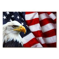 Elephant Stock American National Bald Eagle Wall Art - Horizontal Canvas Wall Art - Living Room Wall Decor - Animal Canvas - Brown And Orange Decor - 48" x 32"