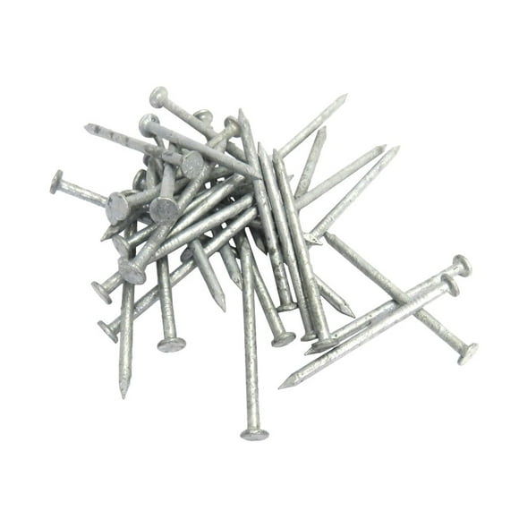 50lbs 10" Hot Galvanized Common Nails