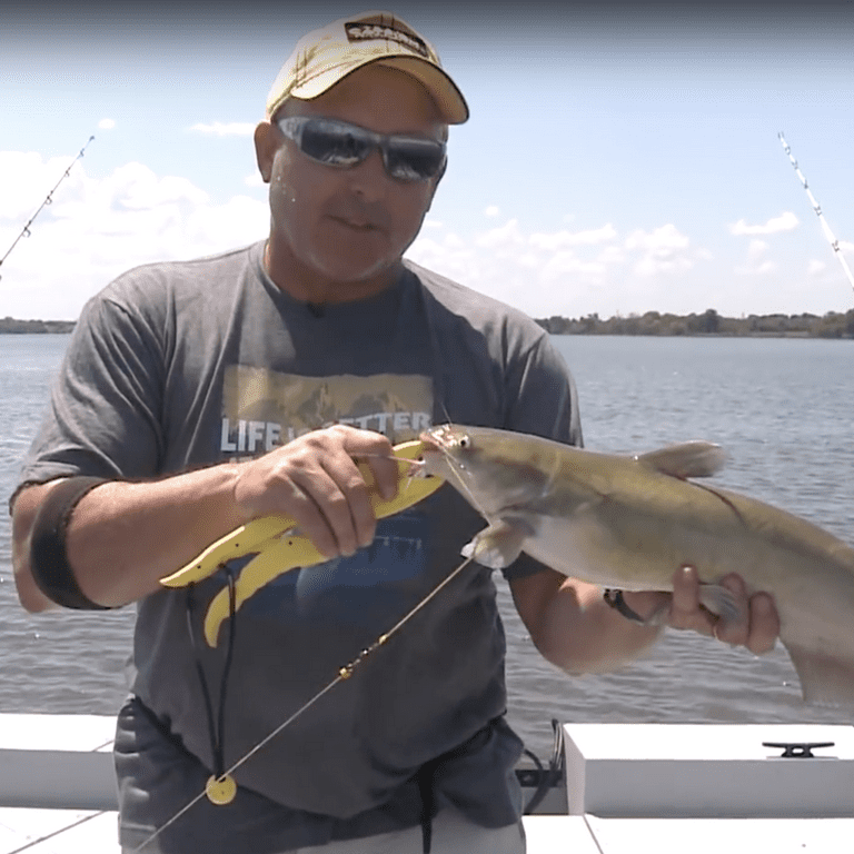 Best Bait For Catfish In Lakes