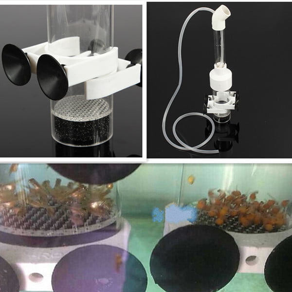 Baoblaze 1Pcs Aquarium Glass Tumbler Incubator Shrimp Hatchery Eggs Instead Mouth-Brooding