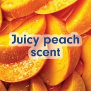Softsoap Juicy Peach Liquid Hand Soap, Kitchen and Bathroom Hand Soap, Rich Fruity Scent, 50 oz Refill Bottle