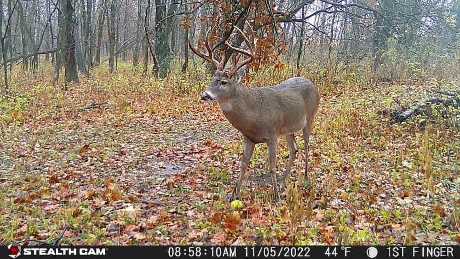 Stealth Cam Fusion X-Pro Cellular Trail Camera with 36MP High Resolution Imaging