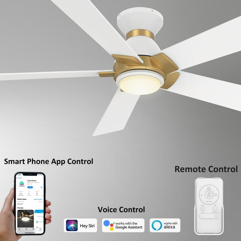 Google assistant ceiling fan cheap control