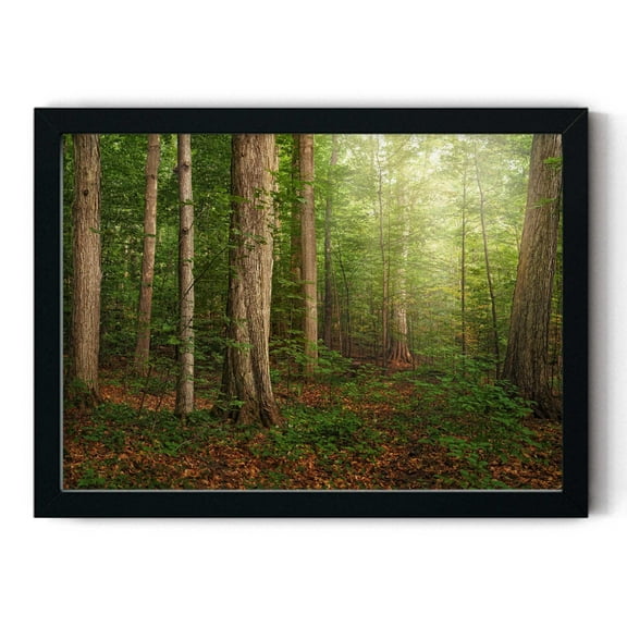 Sacred Grove by Robert A Boyd