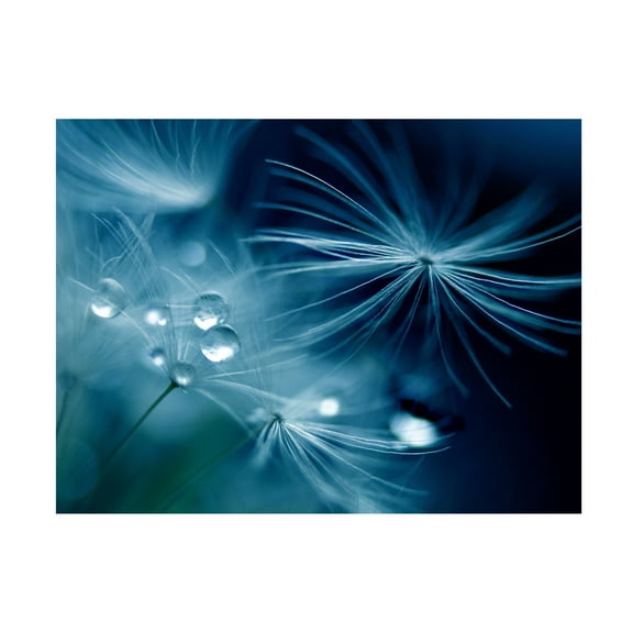 Adriana K H 'Soft Touch' Canvas Art