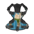 thumbnail image 4 of Picia Earth View World Map No-Pull Dog Harness Reflective Front Clip Vest with Handle,Step-in Air Dog Harness,Adjustable 2 Metal Rings 4 Buckles,Easy to Put on & Take Off Medium, 4 of 9