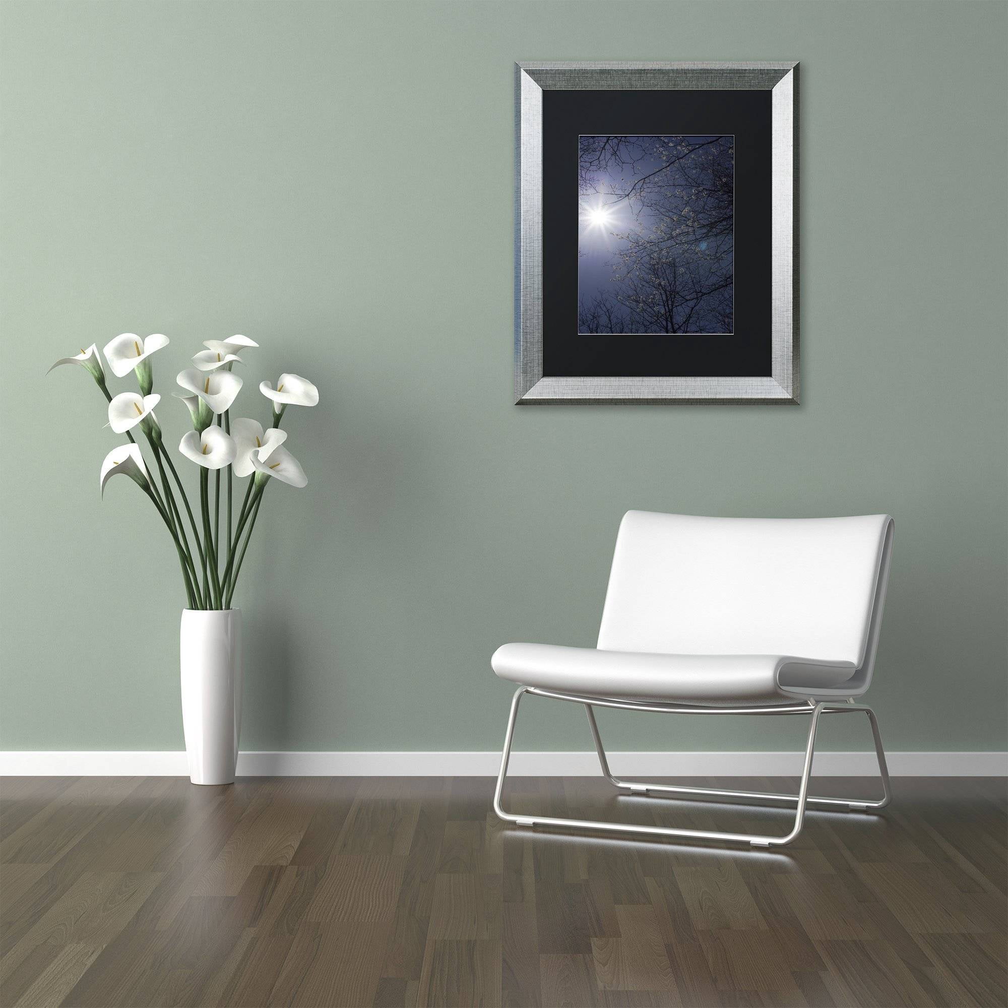 Trademark Fine Art "Springtime Sunshine" Canvas Art by Kurt Shaffer, Black Matte, Silver Frame