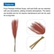 thumbnail image 4 of Uxcell 8Pcs Hierba de Pampas Falsa de 21" para Decoración de Bodas Burdeos, 4 of 7