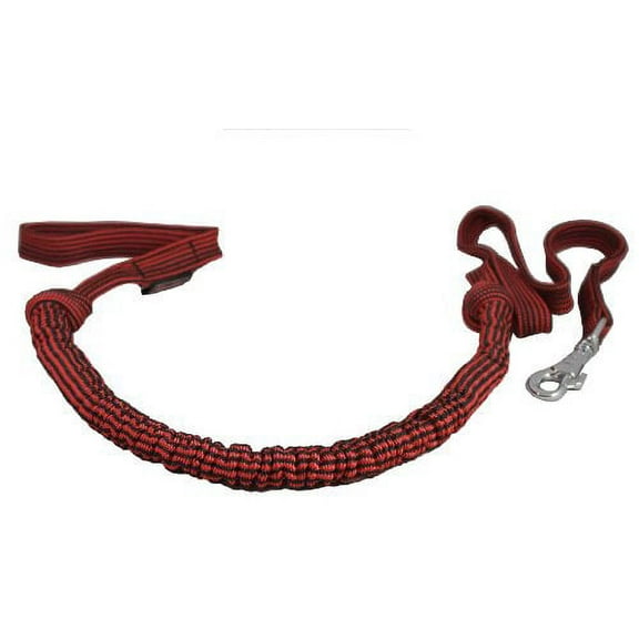 Expandable Bungee Shock Absorbing Dog Leash Large 5ft Long 3/4" Wide (Red)