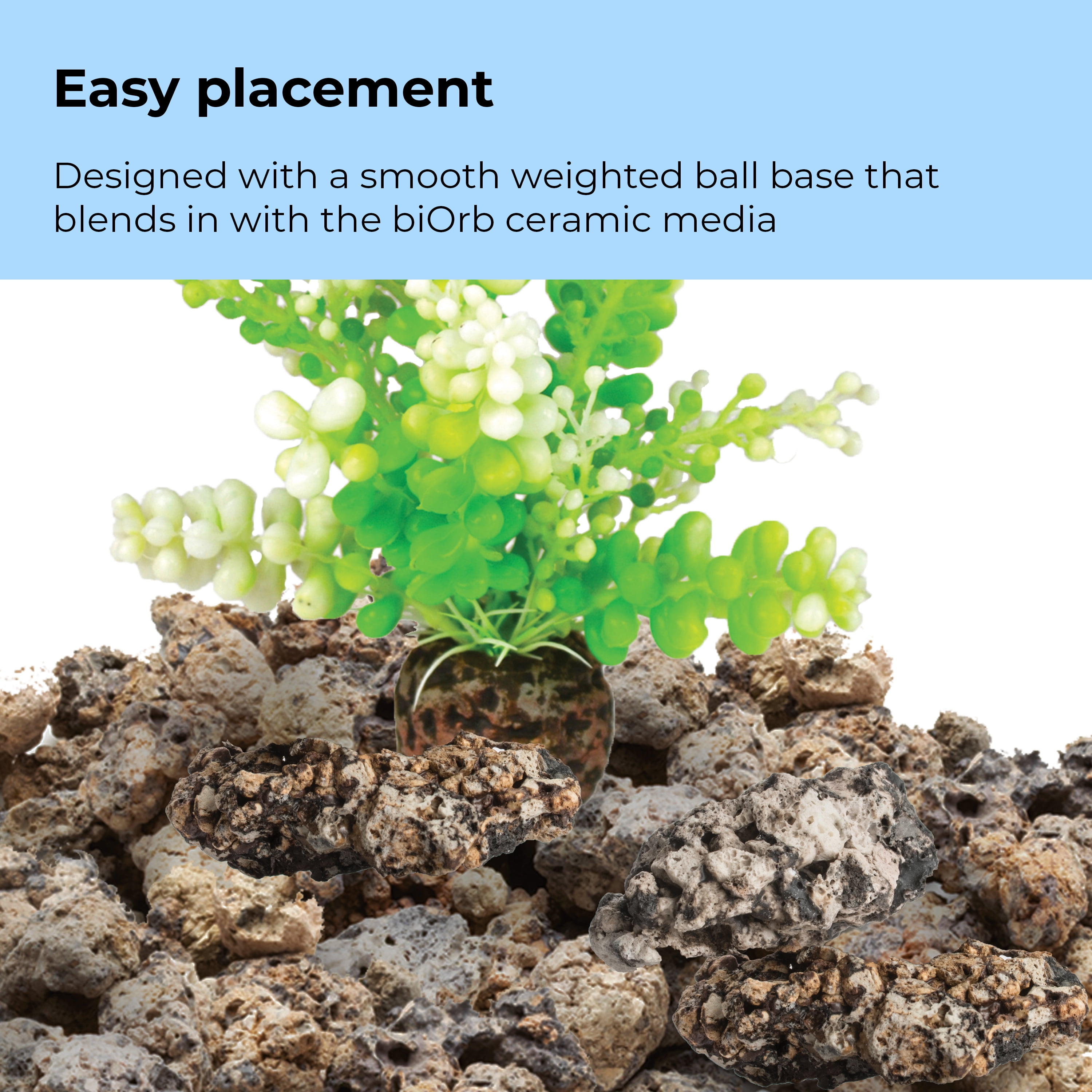 biOrb Green Caulerpa - Small Aquarium Plant Decoration