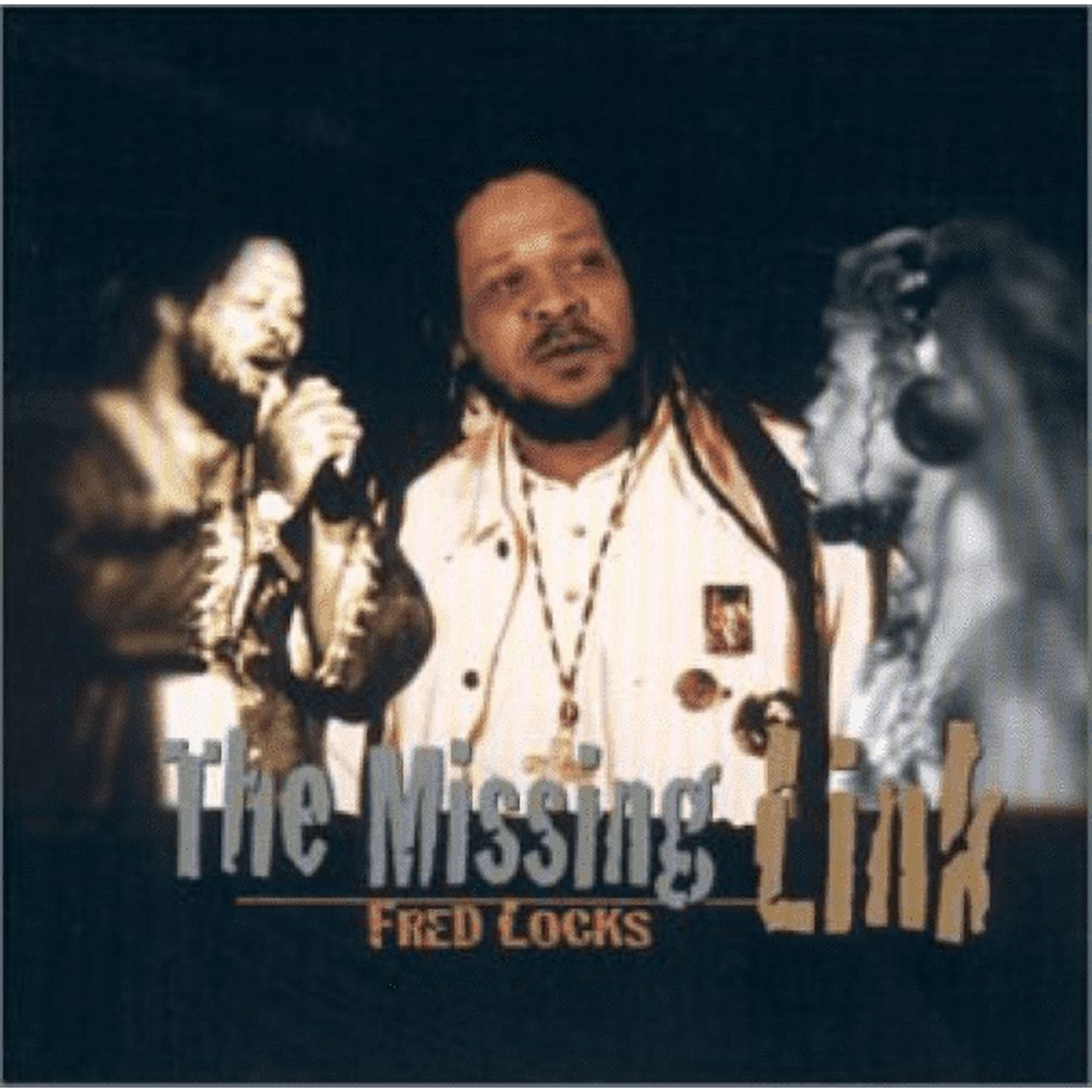 Missing Link (Audiobook)