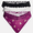 Black Soot / Winter White / Violet Mulberry Teddy Bear Print, variant on No Boundaries Cotton and Pointelle Thong Panties, 3-Pack, Women's XS-XXXL